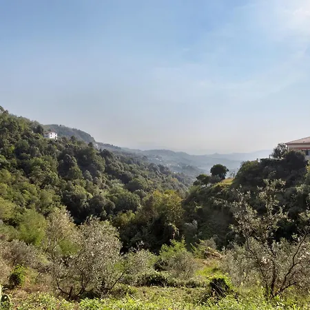 Gli Ulivi Di Montalbano Farm stay