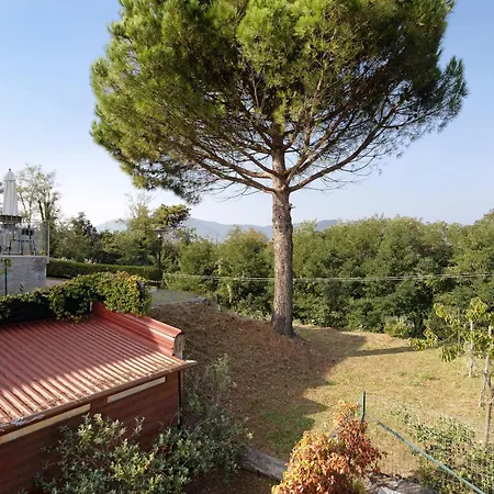 Gli Ulivi Di Montalbano Farm stay
